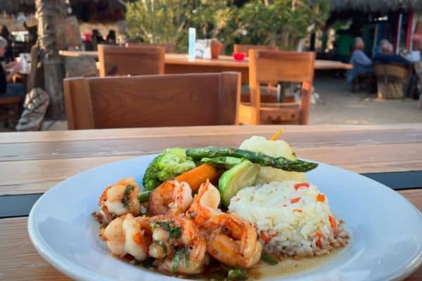 shakas-delicious-wood-cantina-y-galeria